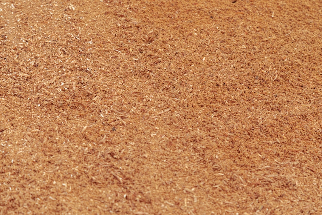Natural wood shavings bedding for small pets providing comfort, absorbency and odor control