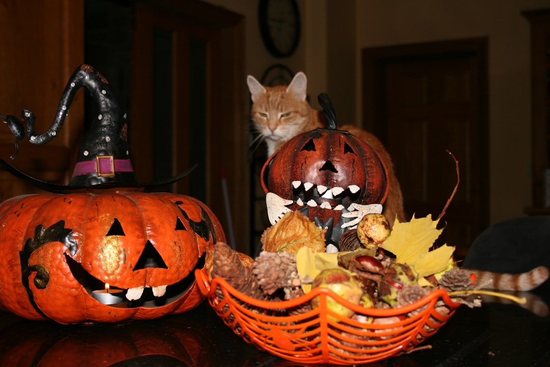 Cute pets wearing Halloween costumes and spooky accessories for trick-or-treat fun