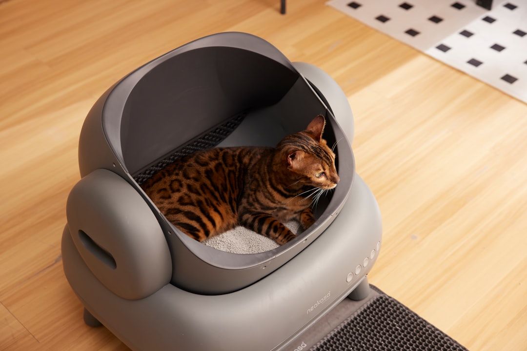 Cat litter boxes and pans for easy cleanup and odor control in various sizes and styles