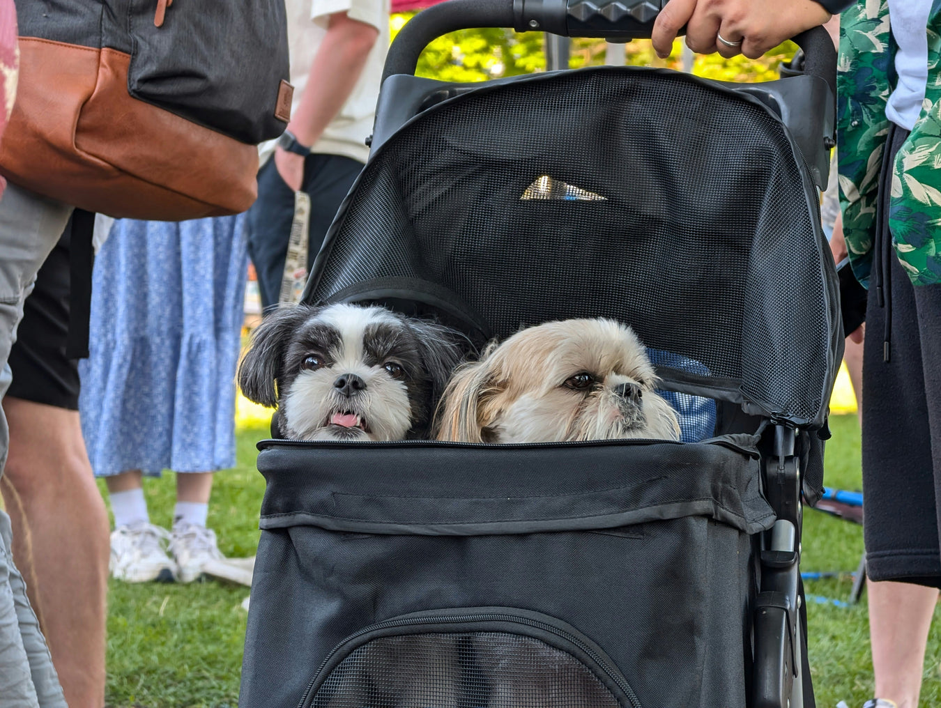 Dog strollers for easy pet transport and outdoor adventures with your furry companion