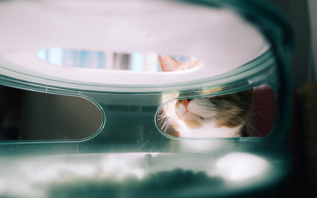 Self-cleaning litter boxes for cats with automatic waste removal and odor control features