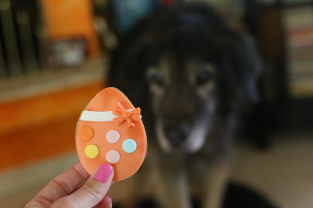 Easter pet accessories and bunny-themed toys for dogs and cats in pastel spring colors