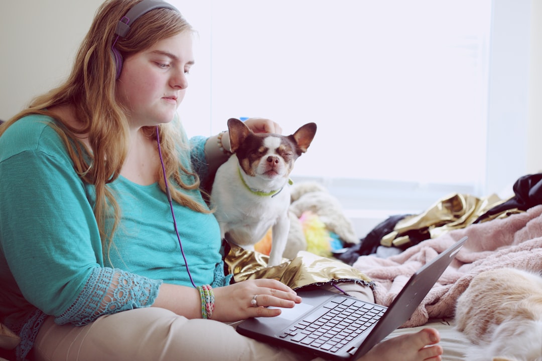 Pet supplies and accessories on sale during Cyber Monday with discounts on toys, treats, and essentials