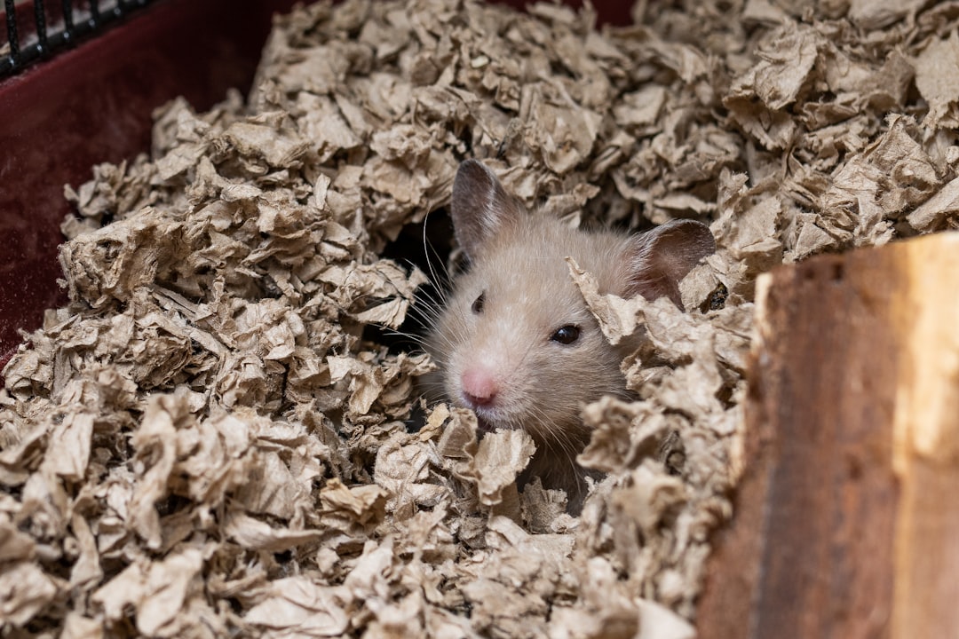 Soft paper bedding for hamsters, gerbils, and small pets providing comfort and absorbent cage lining