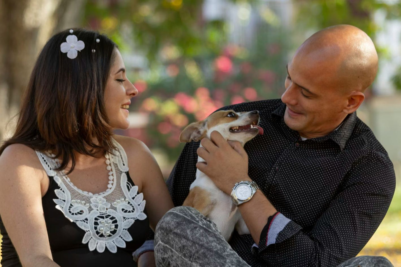 Celebrate the special day you welcomed your furry friend home
