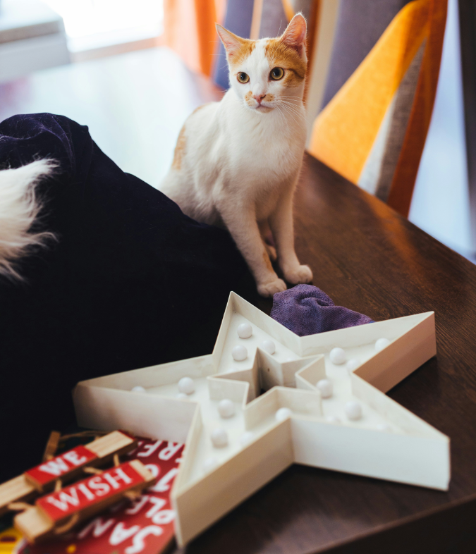 Interactive puzzle feeder toys for cats to slow eating and provide mental stimulation during mealtime