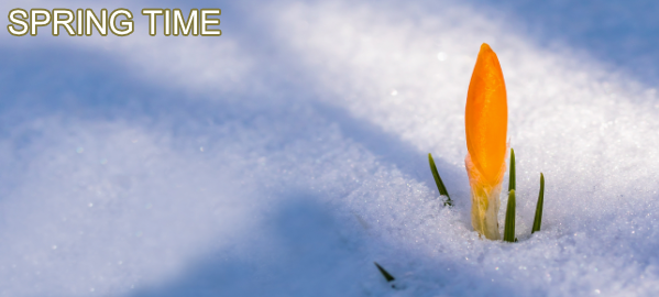 A person enjoying warmer weather in a park