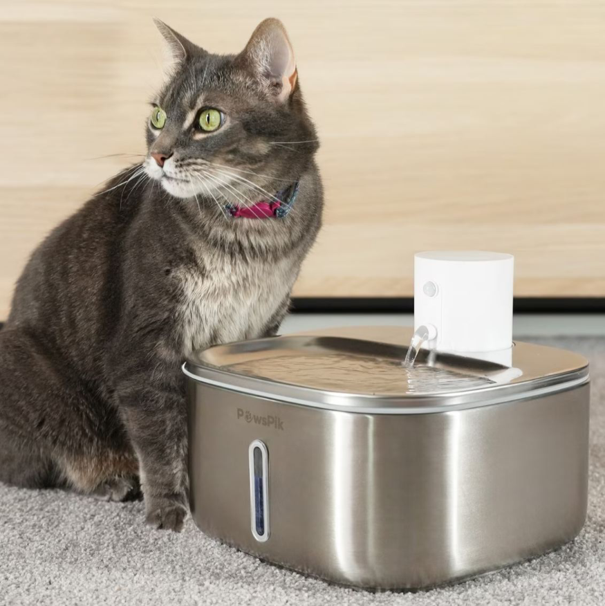 Cat water fountain providing fresh flowing water for feline hydration and health