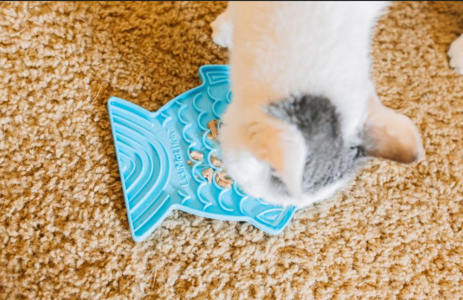 Cat lick mats for mental stimulation and slow feeding to reduce anxiety and boredom in indoor cats