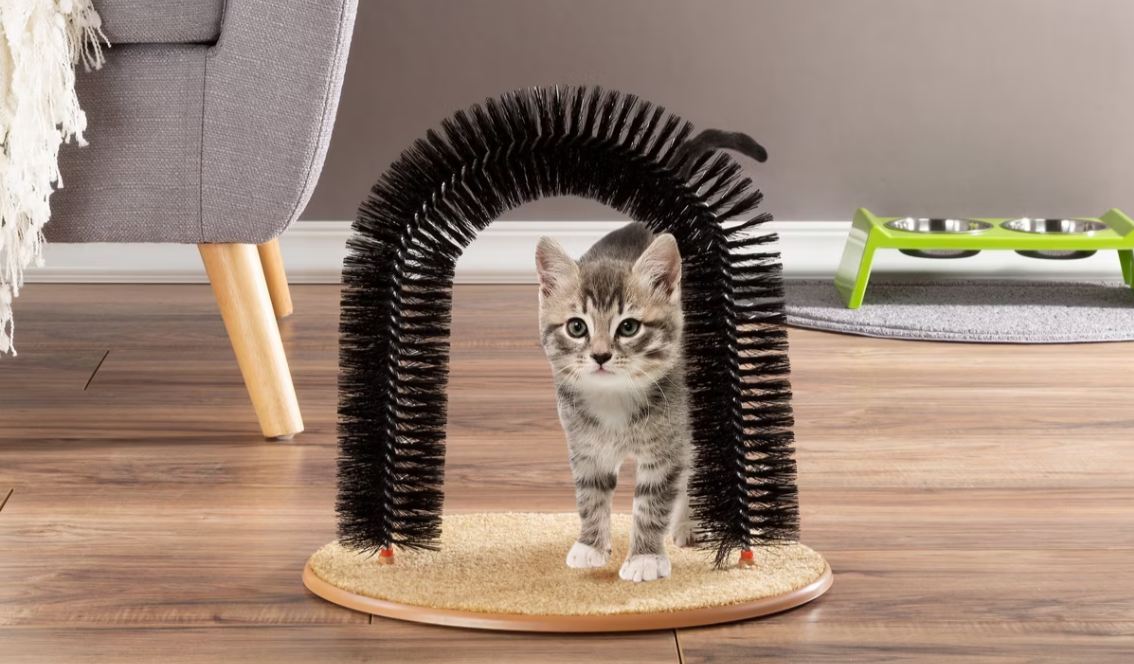 Cat self-grooming brushes and tools for healthy coat maintenance and shedding control