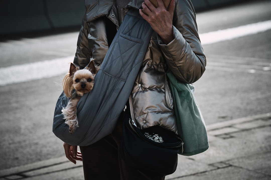 Dog carrier bags for safe and comfortable pet travel and training adventures