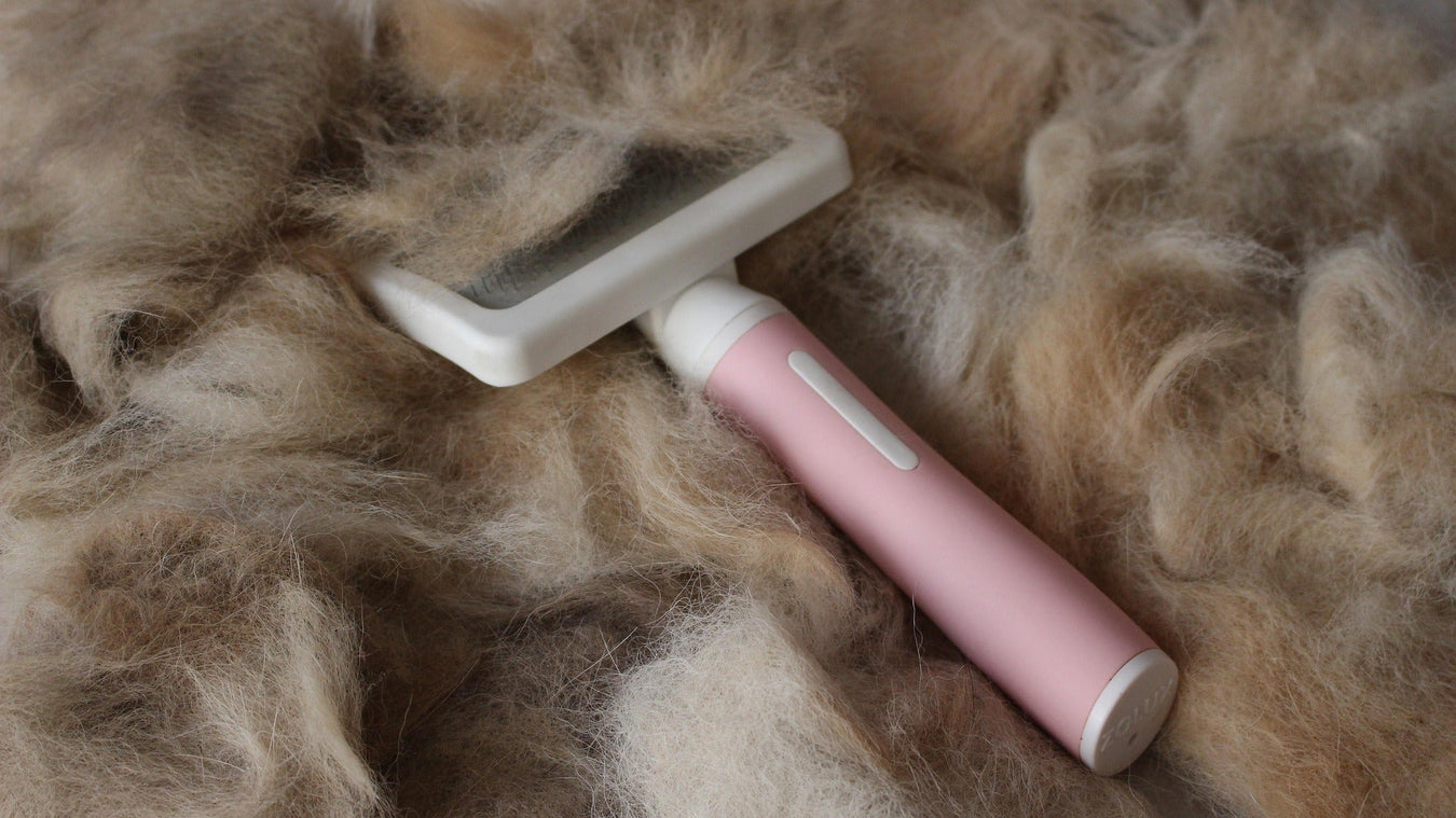 Professional cat deshedding tools and brushes to reduce shedding and keep your feline's coat healthy