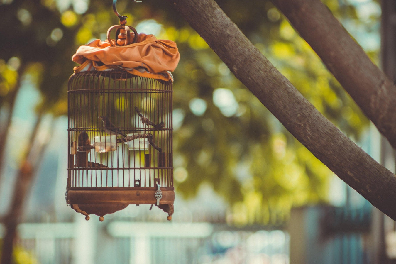 Bird cage covers in various sizes and materials to provide darkness and privacy for pet birds