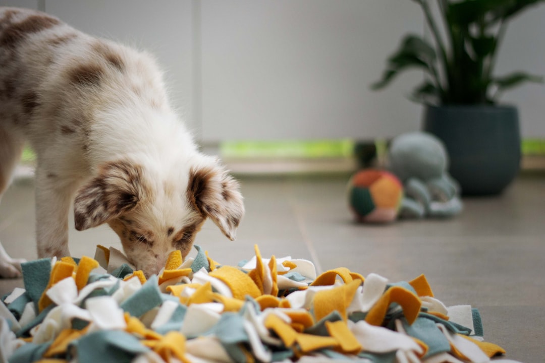 Colorful snuffle mat with fleece strips for dogs to forage and find hidden treats during playtime