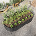 Large Oval Shaped Metal Raised Planter Outdoor Garden Plant Vegetable Bed