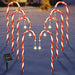 Solar Candy Cane Lights