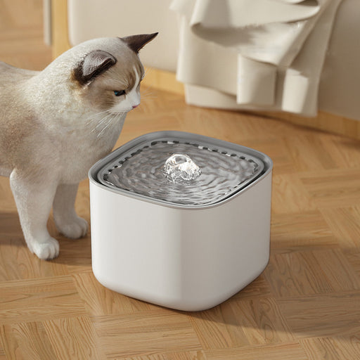 3L Cat Water Fountain