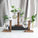 Creative Wooden Frame Hydroponic Vase Flower Arrangement Container