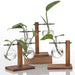 Creative Wooden Frame Hydroponic Vase Flower Arrangement Container