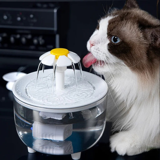Pet Water Fountain