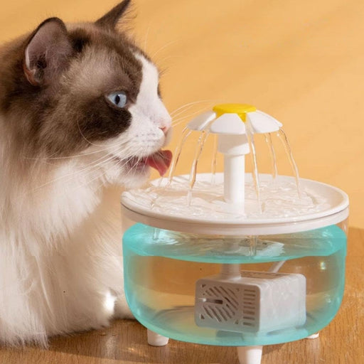Pet Water Fountain