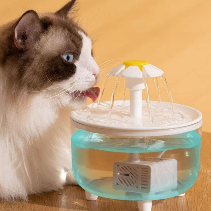 Pet Water Fountain