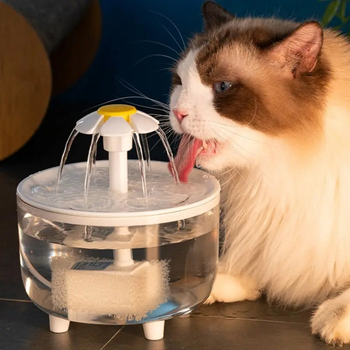 Pet Water Fountain