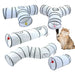 White Cat Tunnel