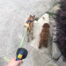 Retractable Dual Dog Leash