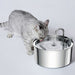 Stainless Steel Automatic Pet Water Filter Fountain