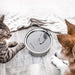 Stainless Steel Automatic Pet Water Filter Fountain