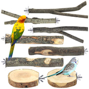 Natural wood bird perch set with various branch shapes, orange parrot and blue budgie perched
