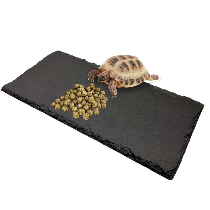Natural Rock Basking Platform for Reptiles
