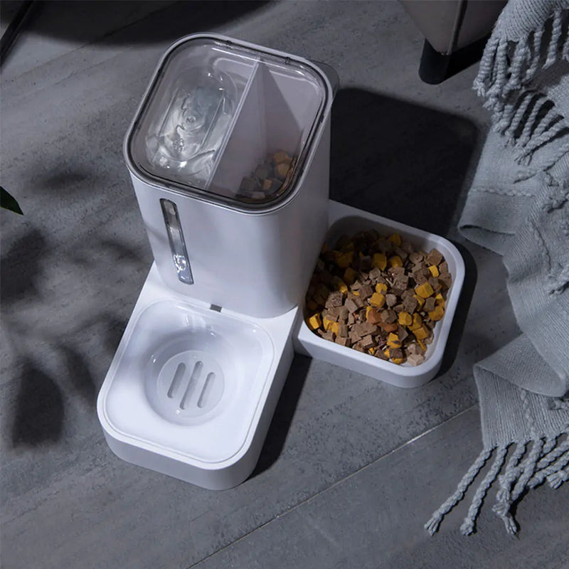 Automatic Feeder for Cats