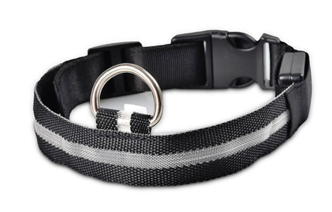 Adjustable LED Glowing Pet Collar