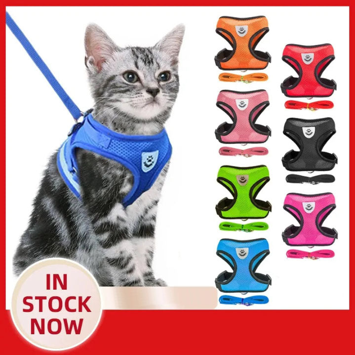 Cat Harness