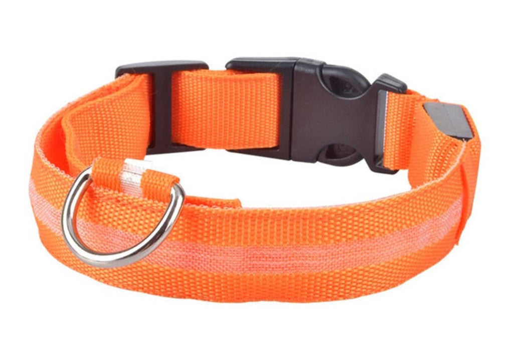 Adjustable LED Glowing Pet Collar