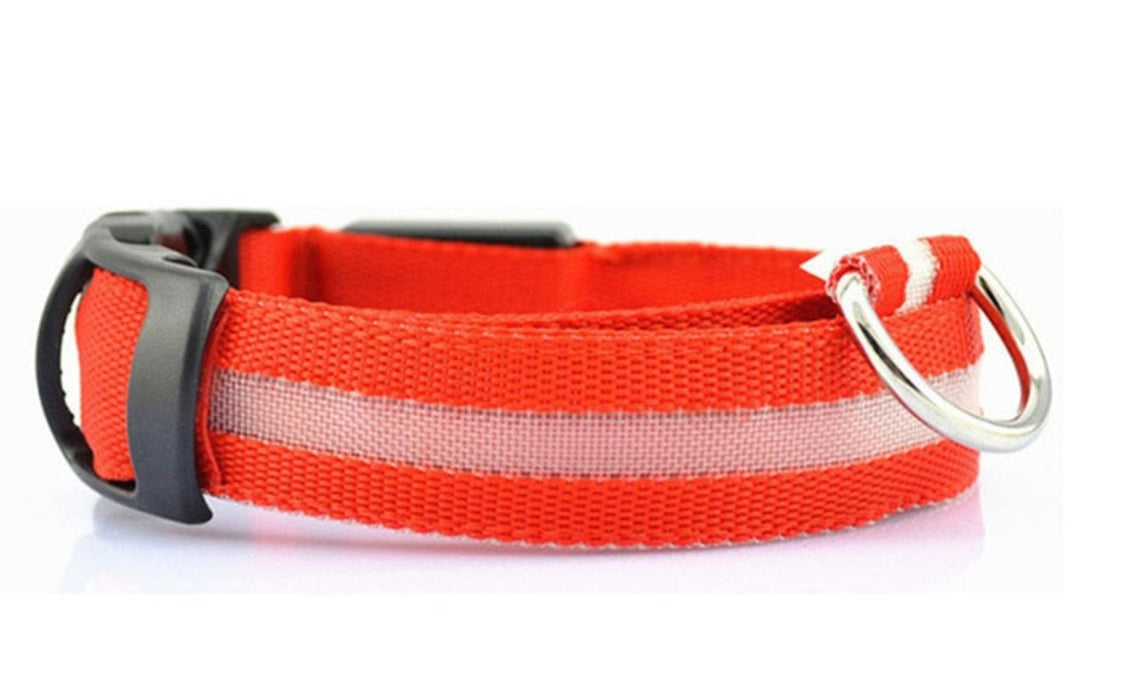 Adjustable LED Glowing Pet Collar
