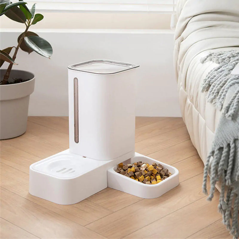 Automatic Feeder for Cats