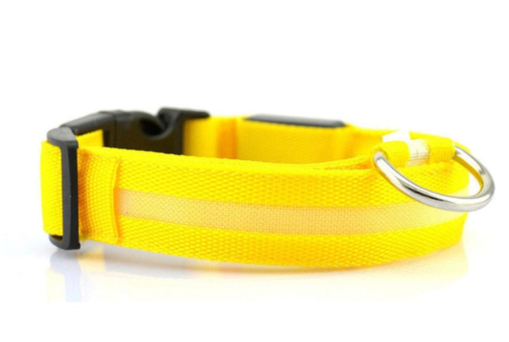 Adjustable LED Glowing Pet Collar