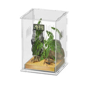 Clear acrylic reptile terrarium with spider, plants, rocks and digital thermometer display