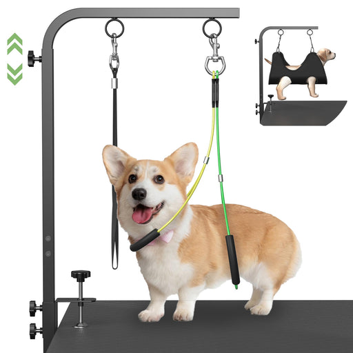 Adjustable Height Dog Grooming Arm