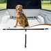 Golden retriever secured with black adjustable tether system in white pickup truck bed