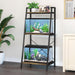 Black metal aquarium stand with two fish tanks in home living room setting with plants