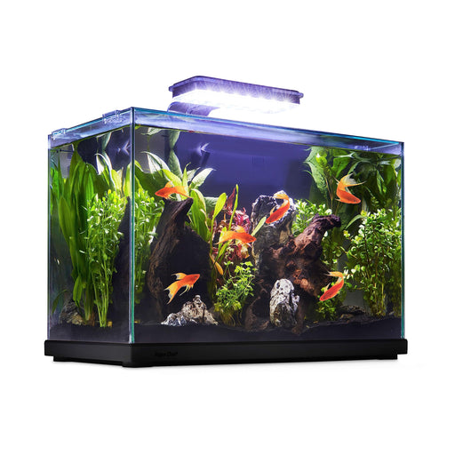 Premium glass aquarium with colorful tropical fish, aquatic plants, and driftwood decorations