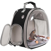 Clear astronaut bubble backpack with small gray cockatiel bird perched on colorful rope perch inside