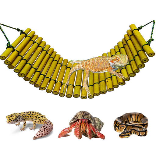 Bamboo reptile bridge with bearded dragon and three reptile pets shown below including gecko snake