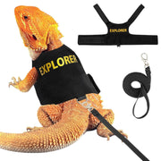 Orange bearded dragon wearing black Explorer harness with matching leash set displayed