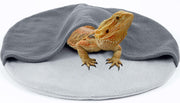 Orange bearded dragon resting on gray fleece reptile bed with soft blanket cover