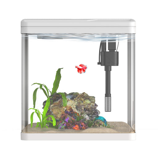 Clear cube betta tank with red fish, green plants, colorful decorations and black filter pump